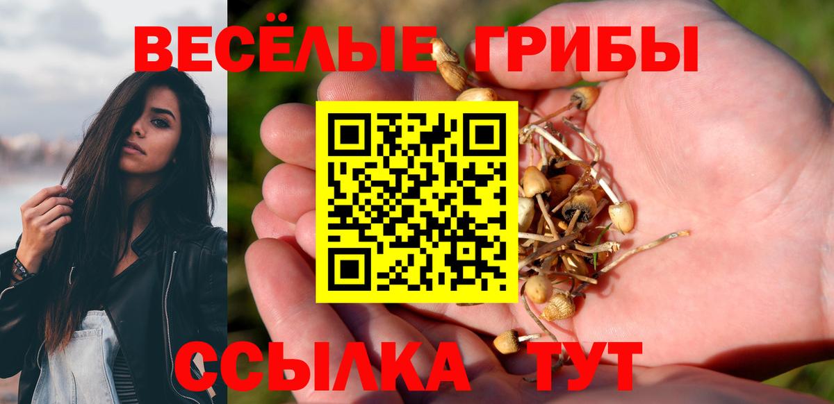 Галлюциногенные грибы MAGIC MUSHROOMS  Вход с VPN  Галлюциногенные грибы ЛСД  Богородск 